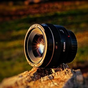 Meet your Posher, Bruce